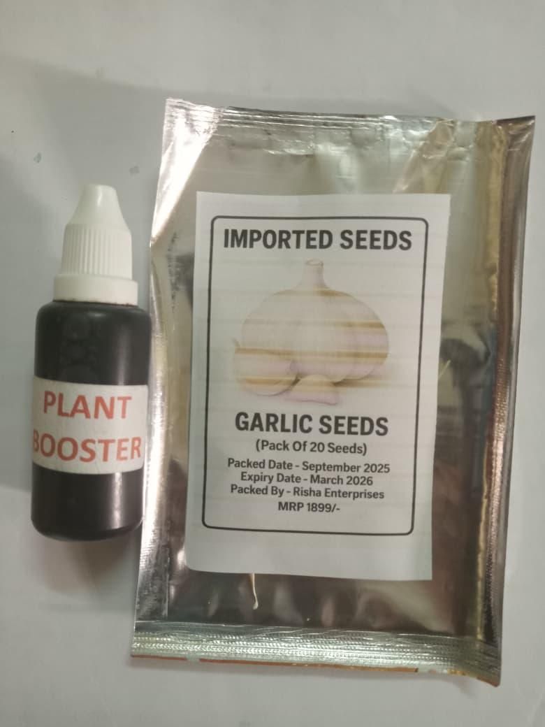 Garlic seeds ( Pack of 20) + Free Plant Growth Serum