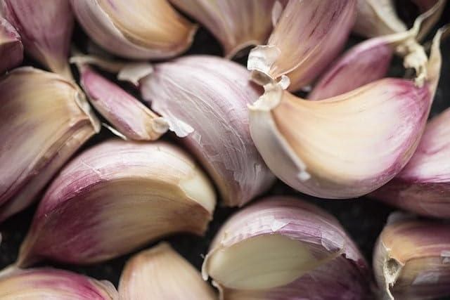 Garlic seeds ( Pack of 20) + Free Plant Growth Serum